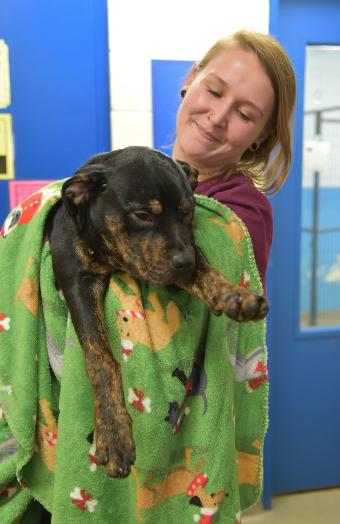 Franklin County Humane Society Planned Pethood Clinic celebrates 20