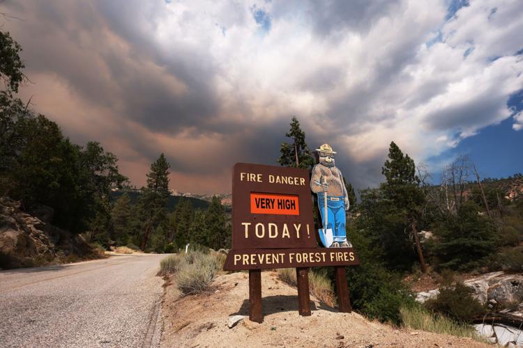 US-NEWS-ENV-SAVING-SEQUOIAS-GET