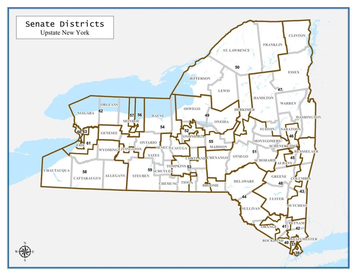 NY Senate districts map