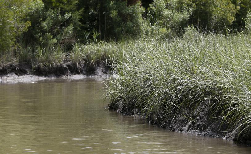 20220612_MET_WETLANDS_AWE05