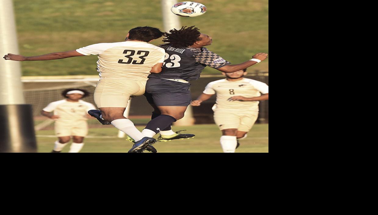 Panthers On The Pitch