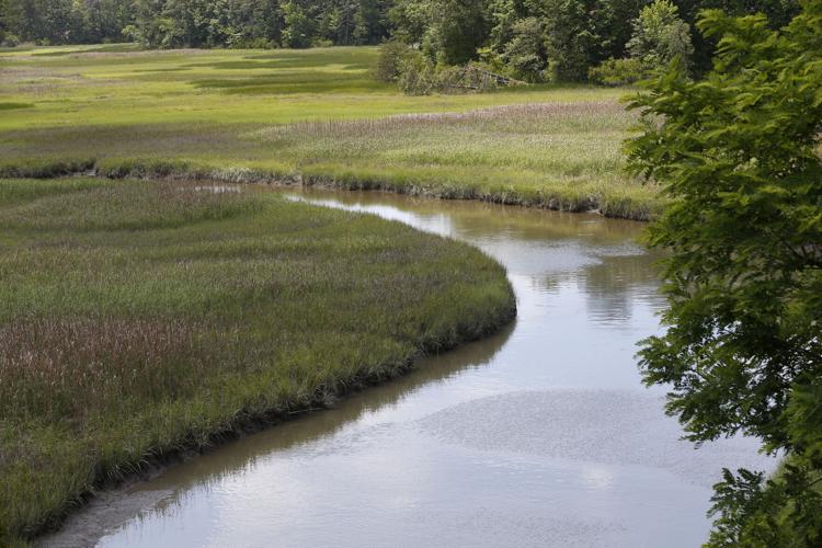 20220612_MET_WETLANDS_AWE02