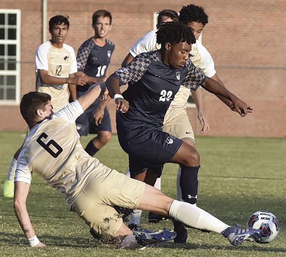Panthers On The Pitch