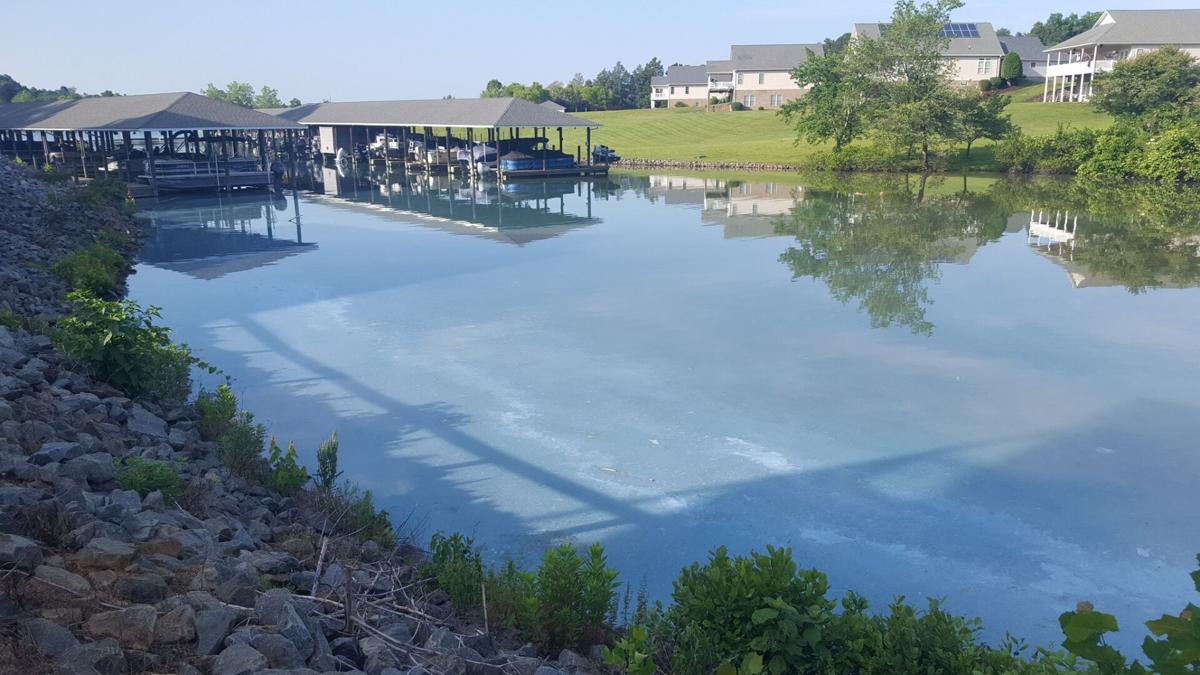 Algae Bloom at SML (copy)