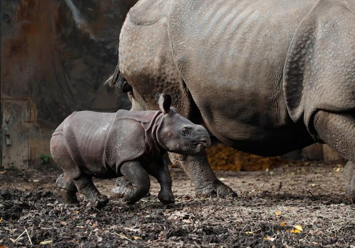 Walking with mom