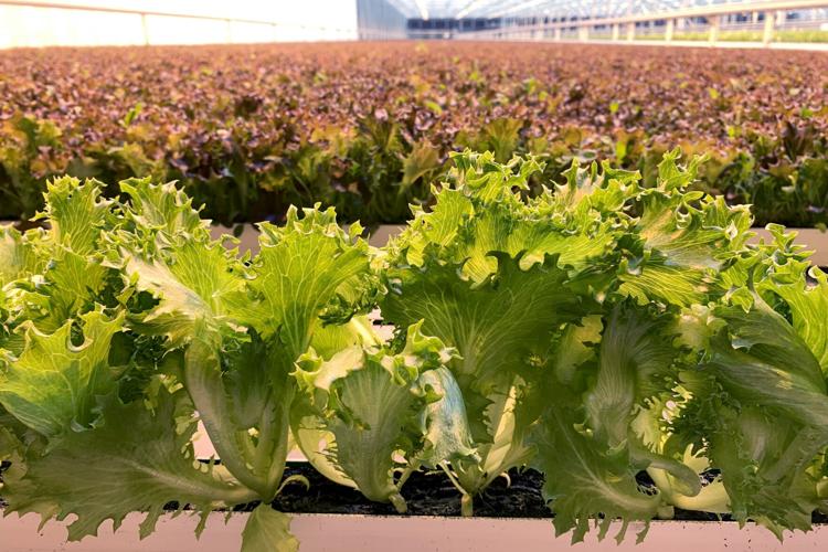 032023-rtd-mbz-coverp3