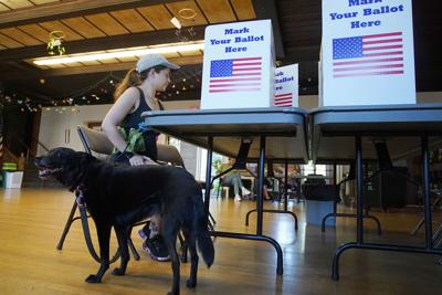 Primary Voting (copy)