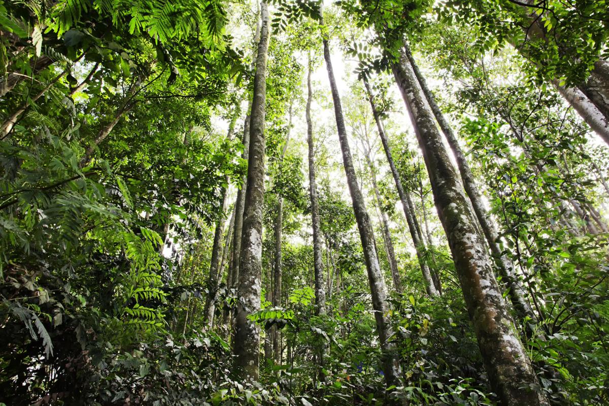 NXT-EARTHTALK-PAPER-DMT