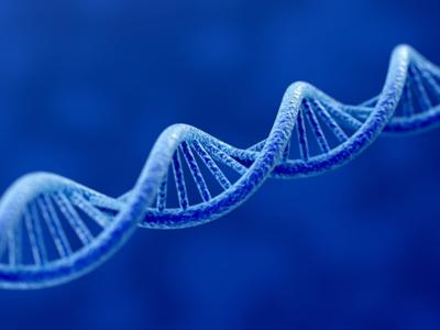 Scientists sequence the complete human genome for the first time