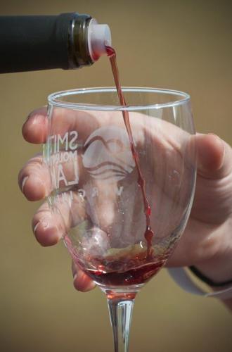 dpwinefestival092514 p08 (copy)