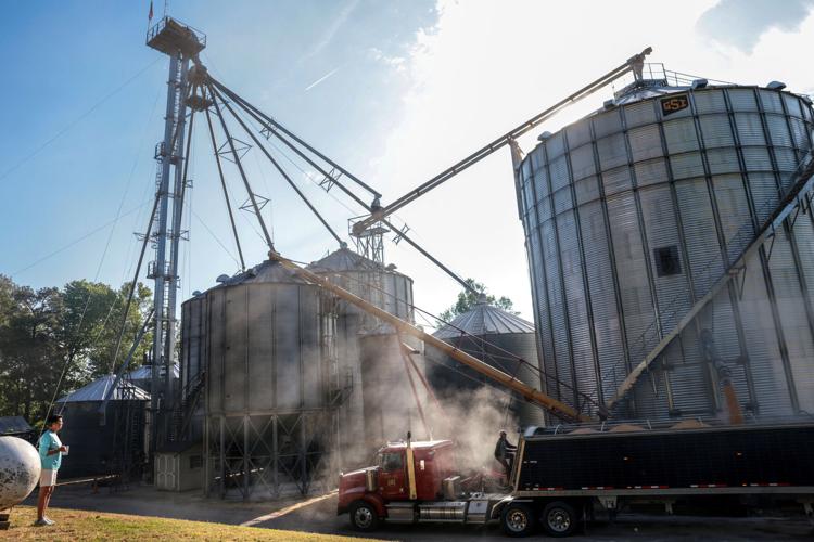 USDA ousts four women from soy board, rolls back decade of gains for female farmers