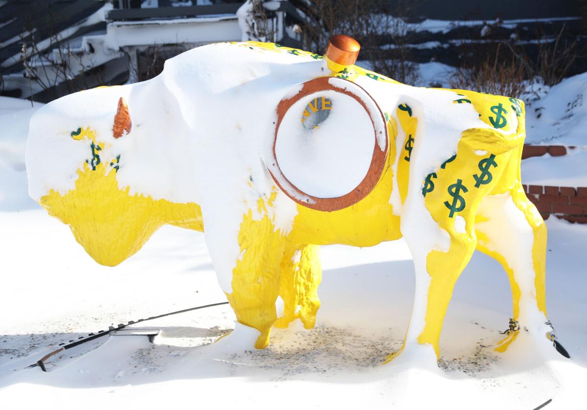 Buffalo Blizzard