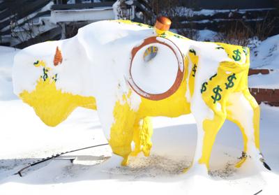 Buffalo Blizzard