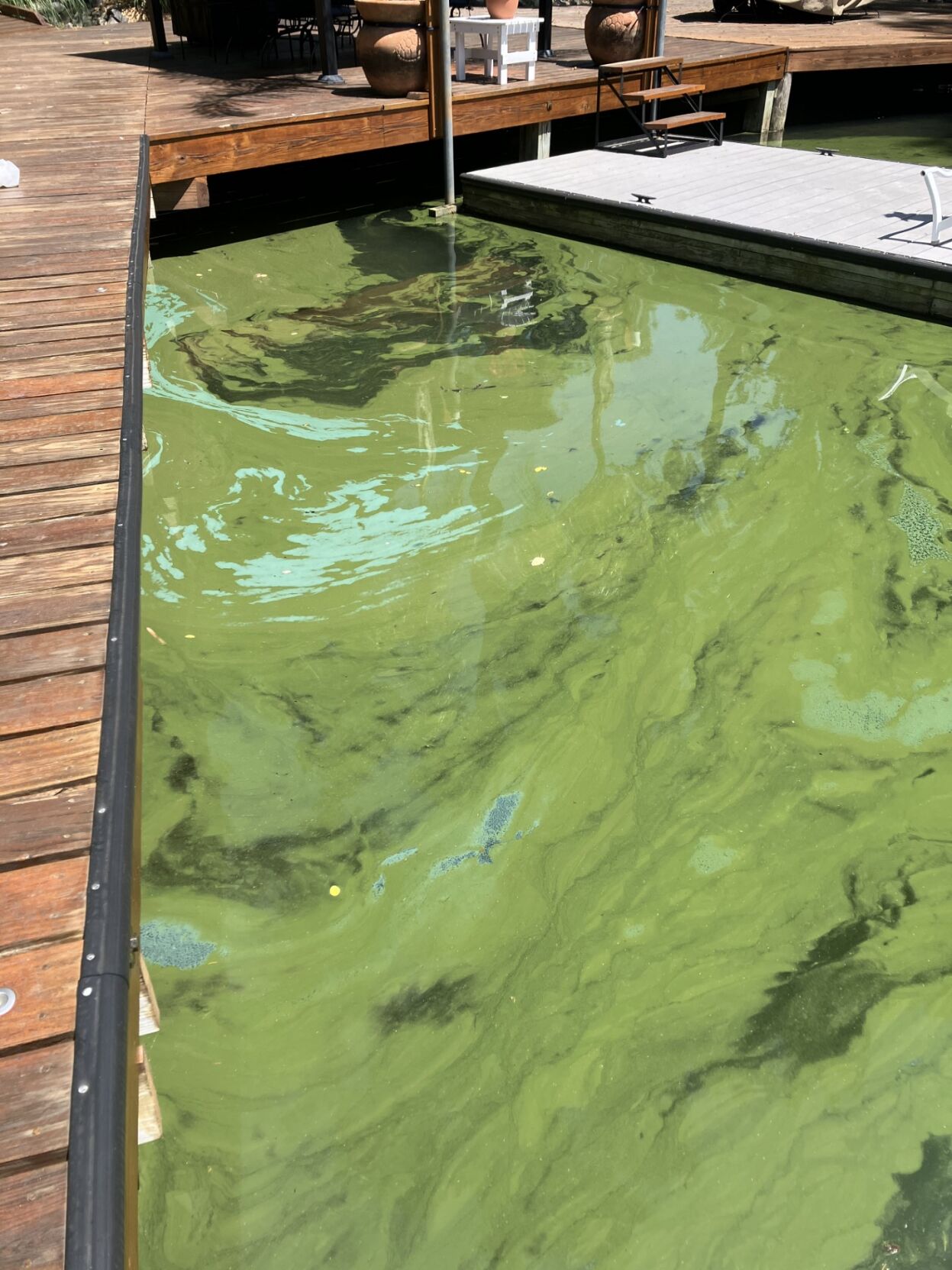 Algae Bloom at Smith Mountain Lake