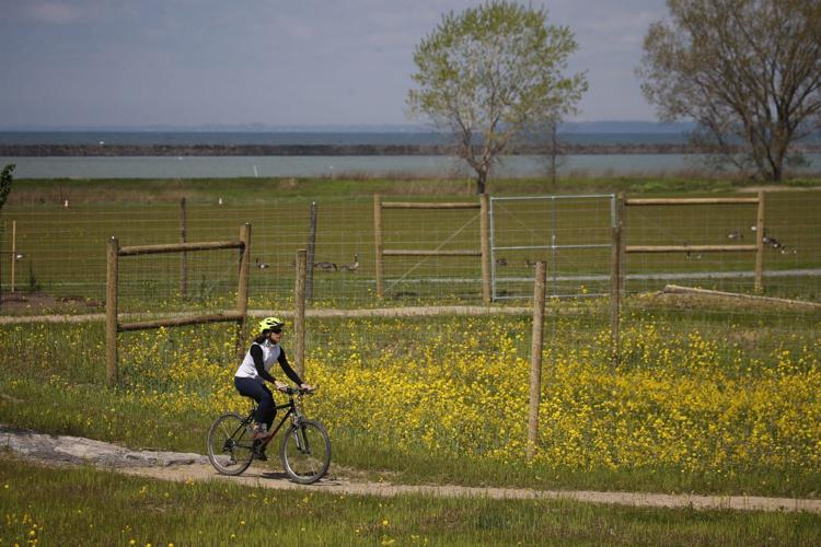 OUTER HARBOR BIKE PARK