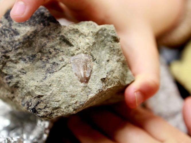 090422-roa-nr-fossilparty-05