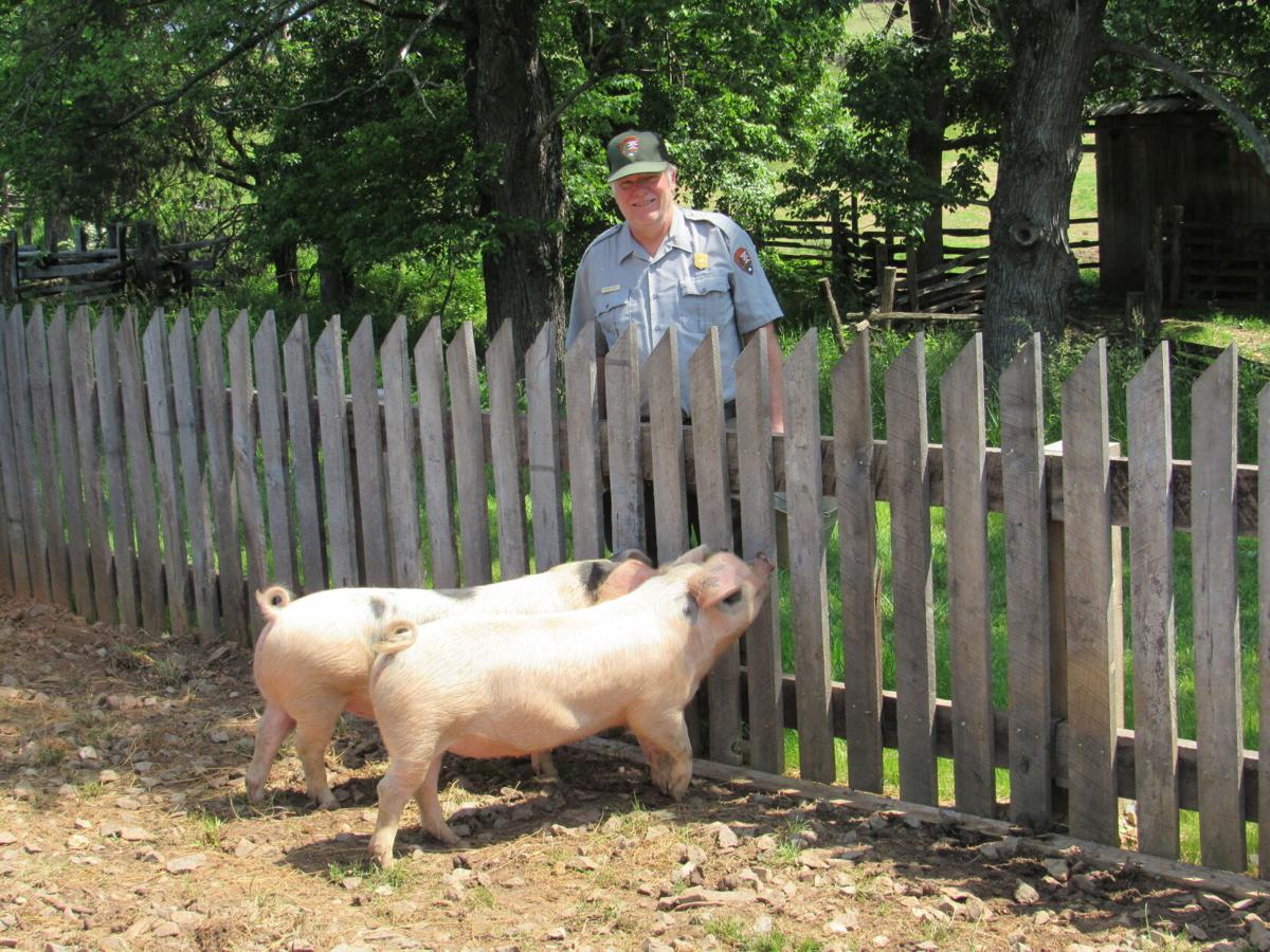 Booker T. Washington National Monument pigs