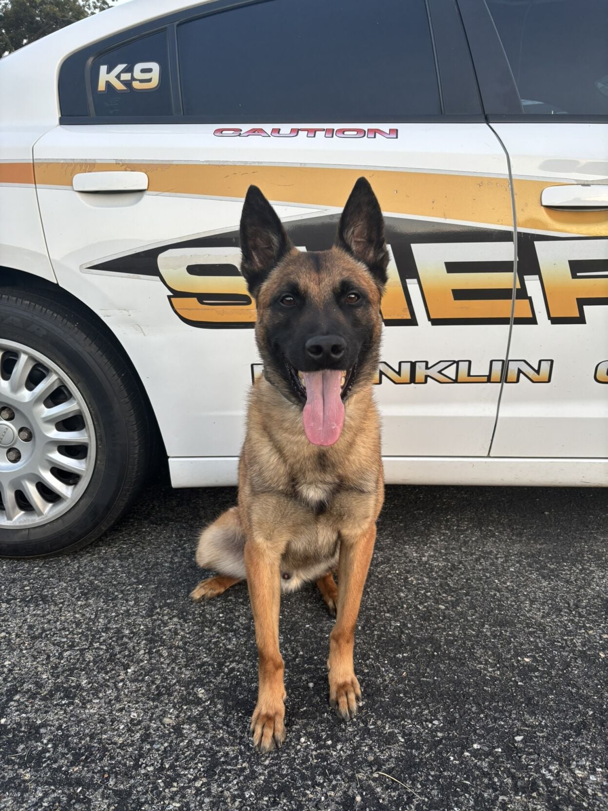 Vito, Franklin County Sheriff's Office K9
