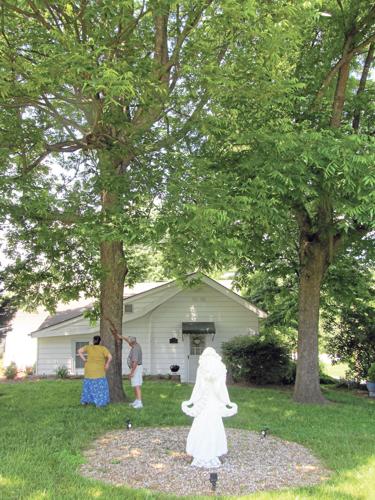 Possible fireball hits Rocky Mount