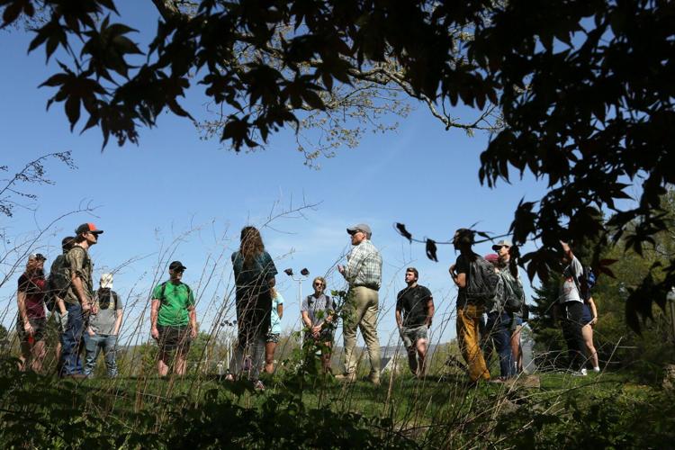 042023-roa-nr-bigtrees-03