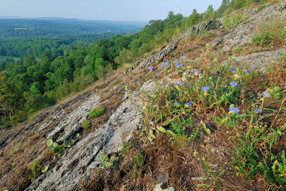 Bald Knob now part of natural preserve system