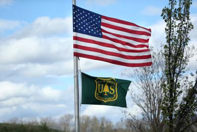 skd timmforestry 040617 p04