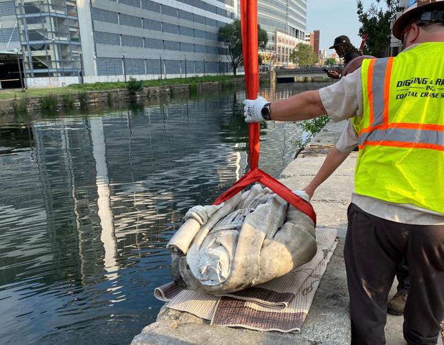Trump Columbus Statue