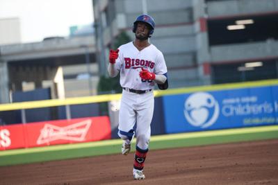 Bisons Baseball