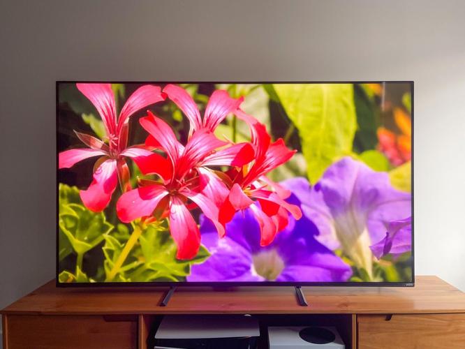 Best midpriced TV for tighter budgets: Vizio MQX.