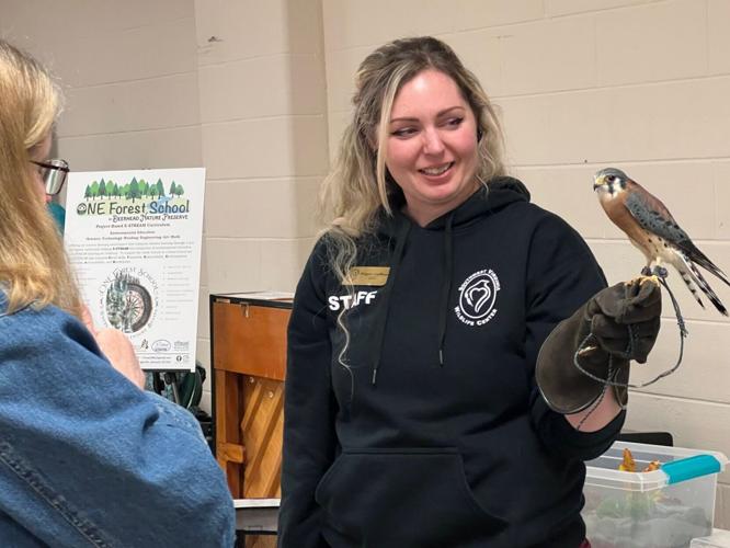 Megan Coffman, a wildlife rehabilitator with the Southwest Virginia Wildlife Center,