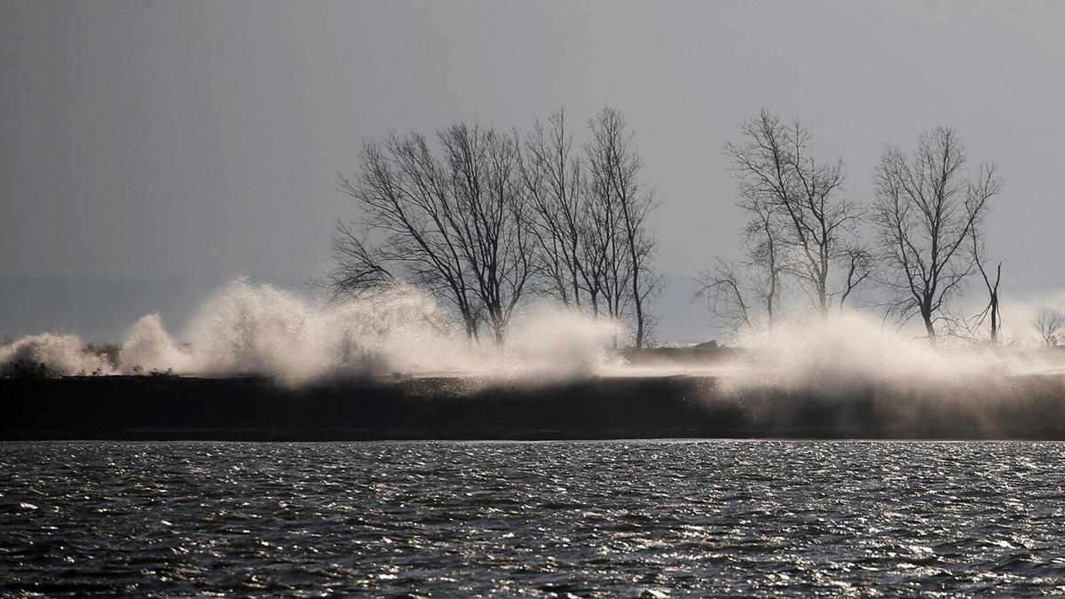 everydayaphoto wind (copy)
