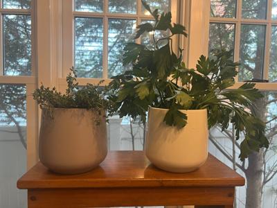 Gardening-Indoor Herbs