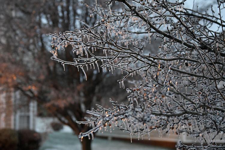 010825-fnp-news-firstsnow-p01