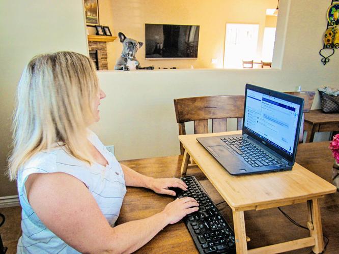 LIFE-PETS-WORK-TRANSITION-1-SD