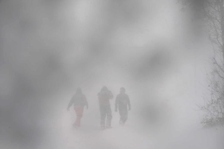 Buffalo Blizzard
