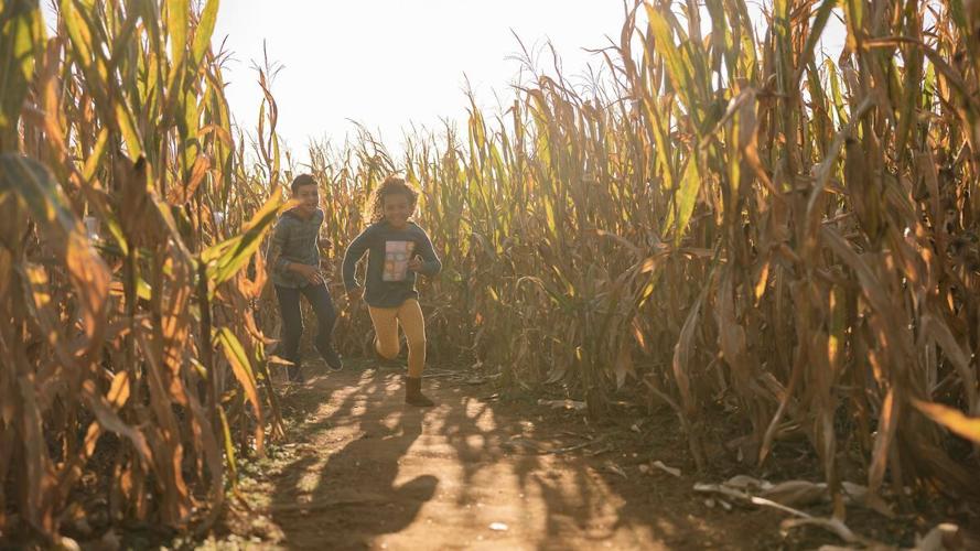Plan Your Autumn Adventure in Spotsylvania: Your Ultimate Fall Bucket List