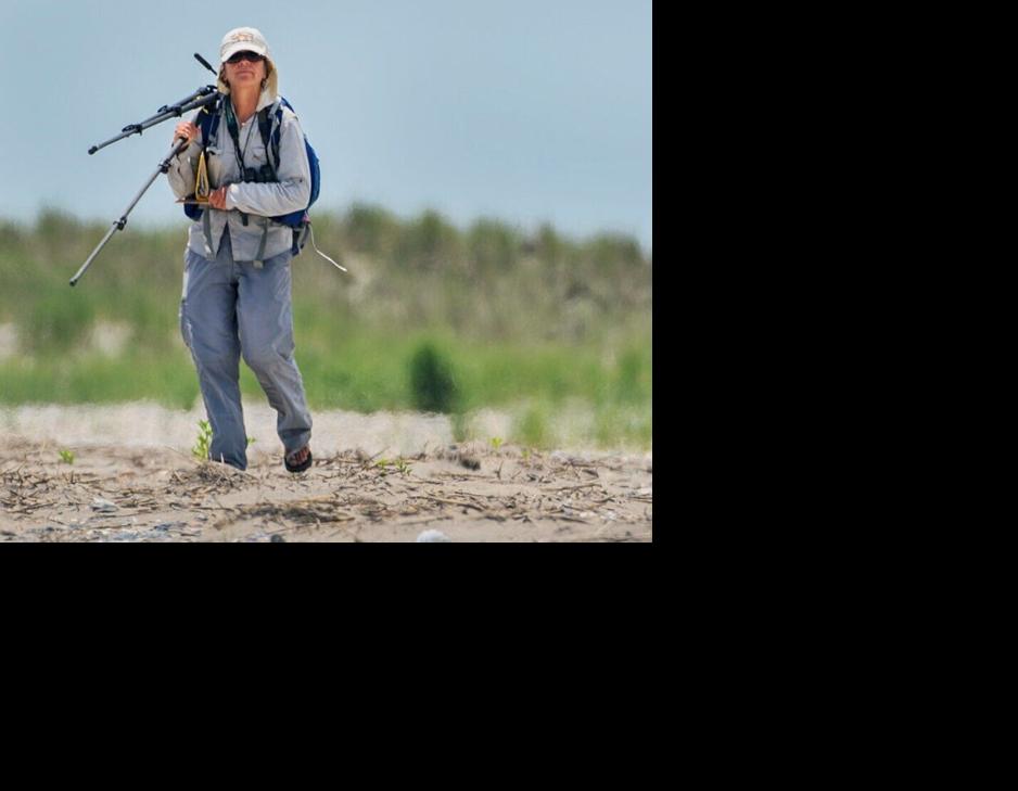 082226-rttd-me-plover