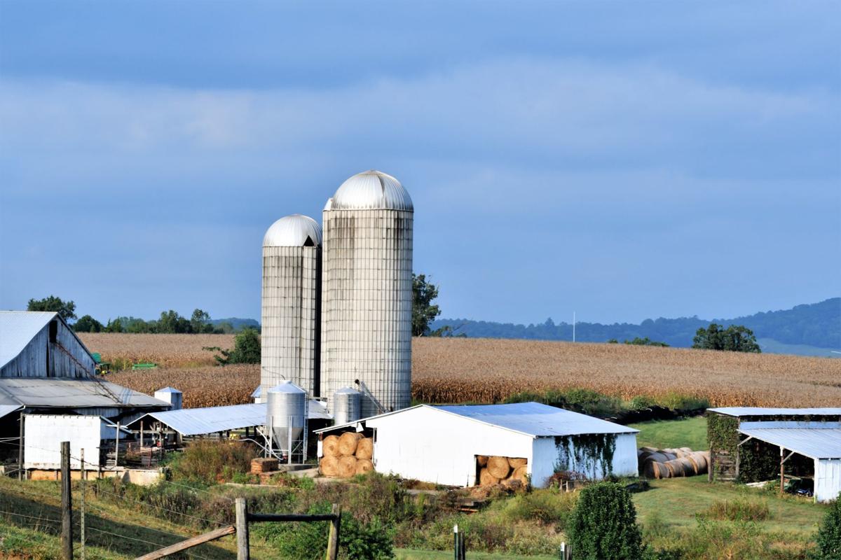 Farm