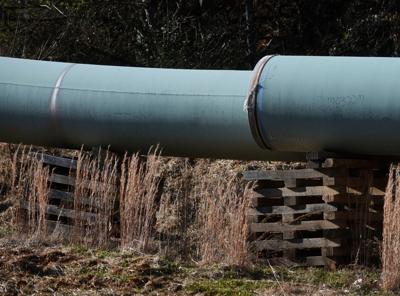 122320 MVPFranklinCo p04 (copy)