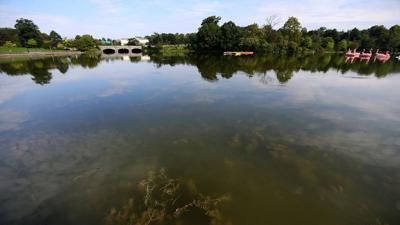 The bigger picture behind restoring Hoyt Lake: It plays 'huge role' in health of an ecosystem