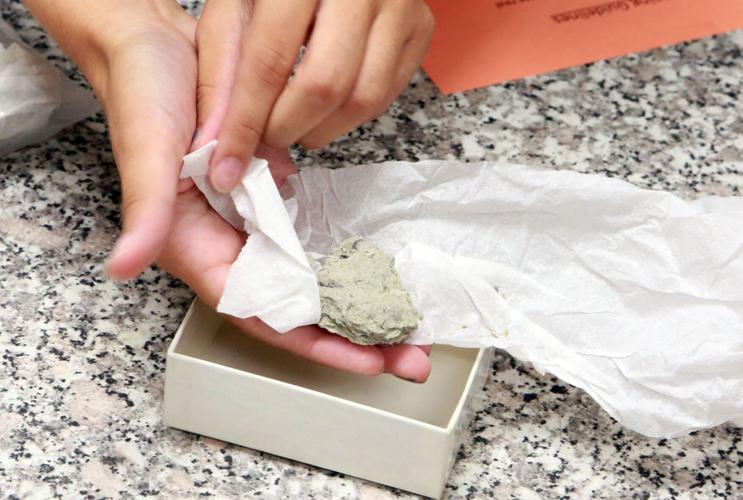 090422-roa-nr-fossilparty-03