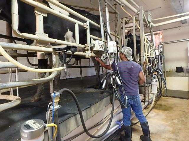 Ferrum farm goes solar