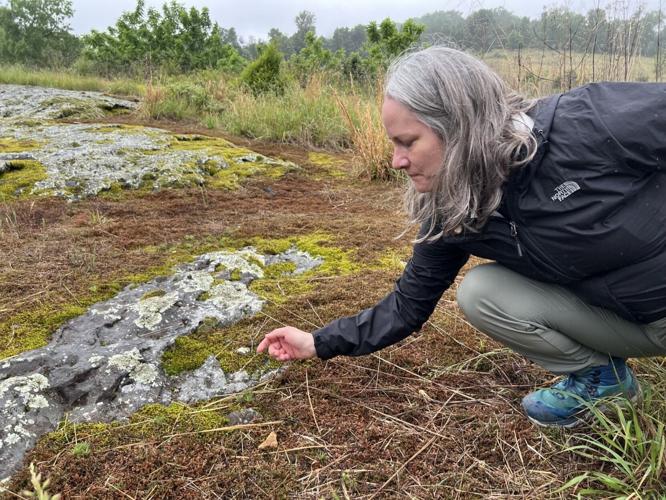 Lesley Starke, acting director for the Virginia Natural Heritage Program