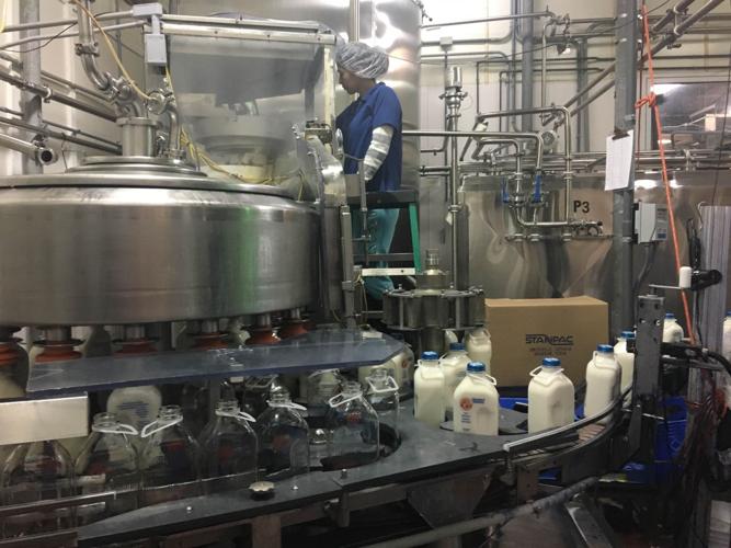 Creamery construction finishing soon with plans for cheeses