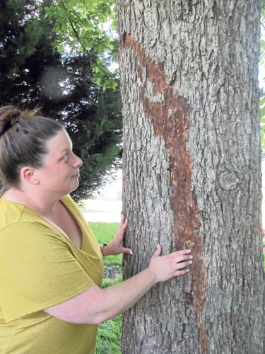 Possible fireball hits Rocky Mount