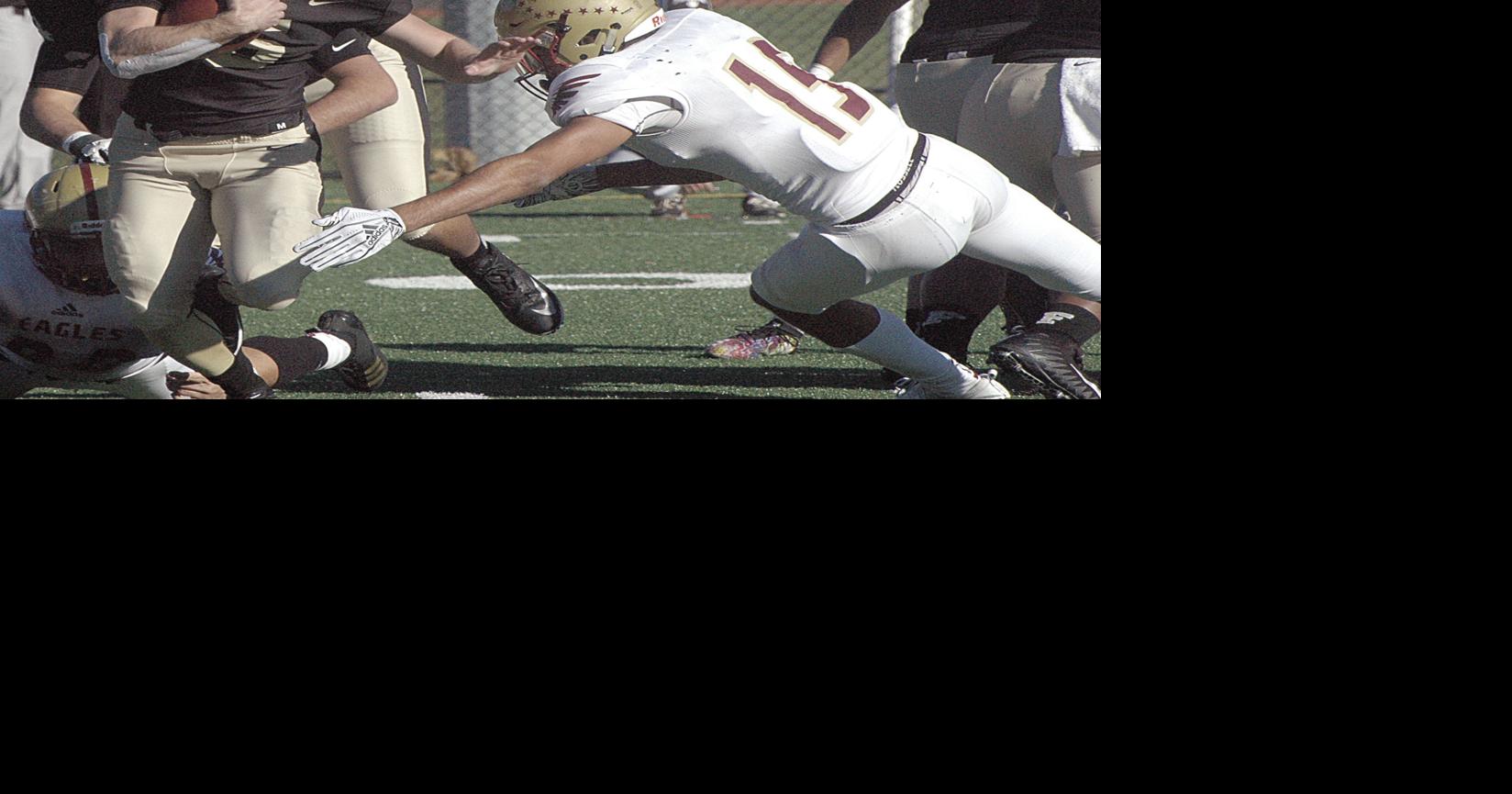 Six Ferrum student athletes earn VaSID academic all state laurels