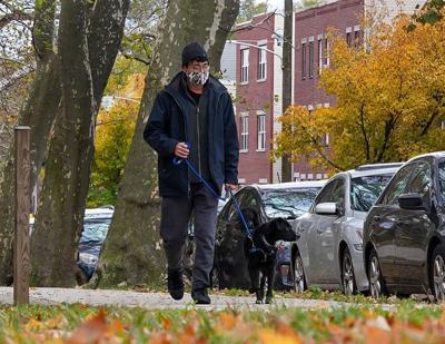 BIZ-REAL-PETS-HOUSING-PH