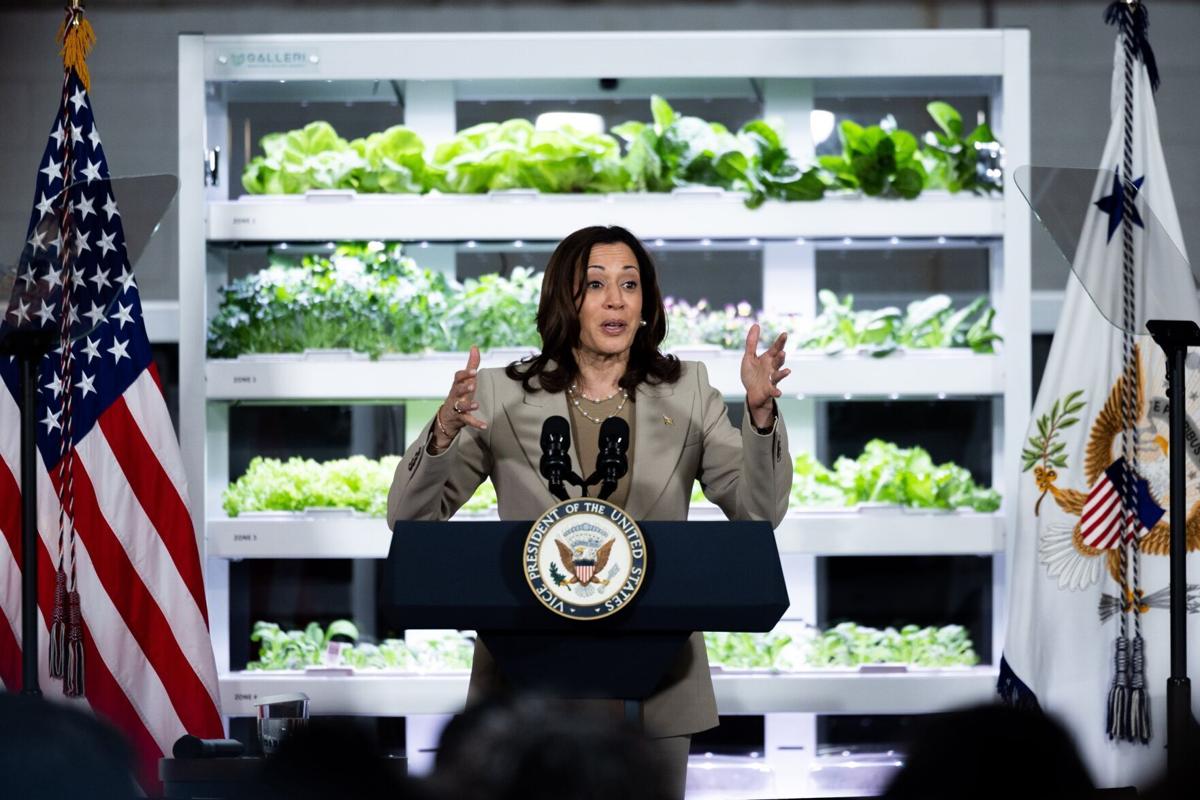 VP Kamala Harris Visit