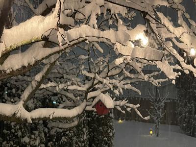 Snow Amherst