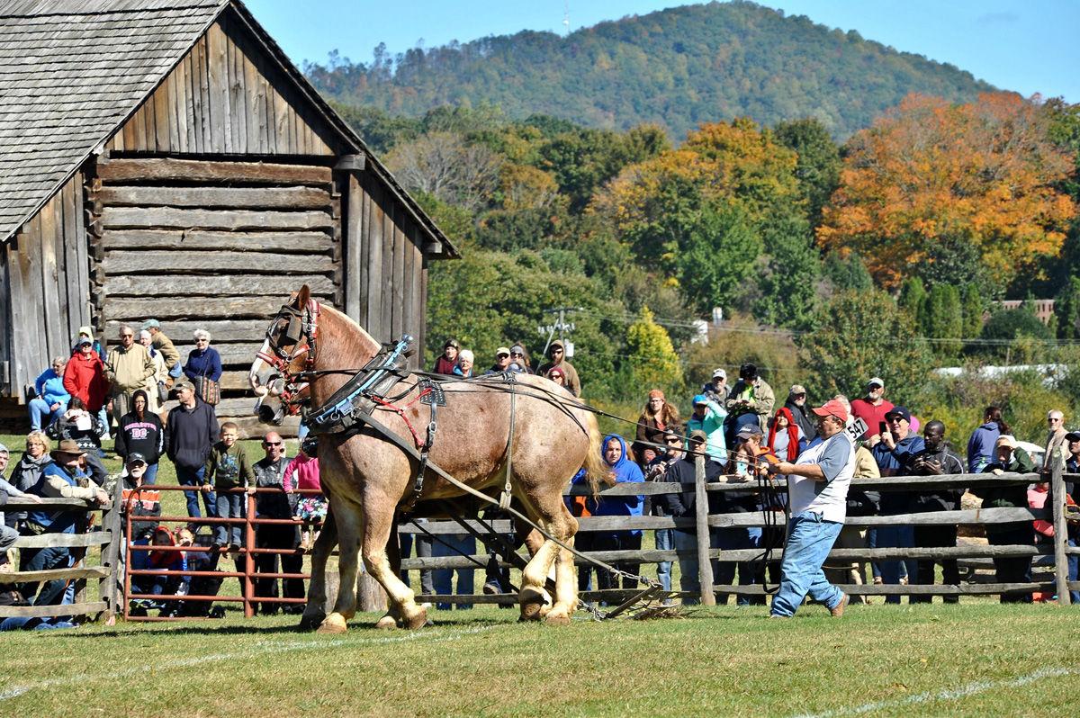 Blue Ridge Folklife Festival 2016